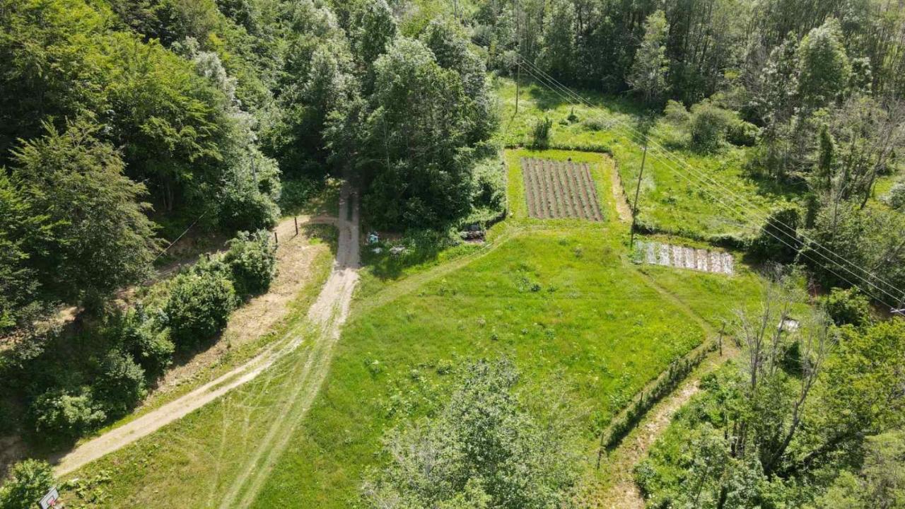 Holiday Bungalows Pajkovir Kolašin Εξωτερικό φωτογραφία